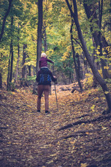 Father with son on his shoulders walking in the autumn forest. Back view