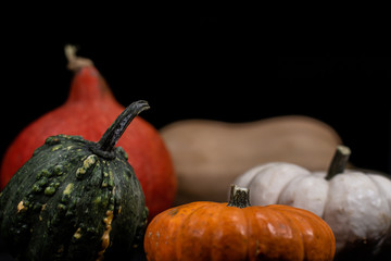 Colorful pumpkins in fall