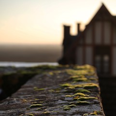 people walking on bridge