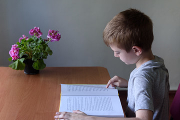 Schoolboy reading a book with interest. Home interior