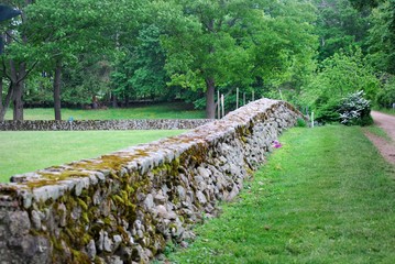 Stonewall in pasture land