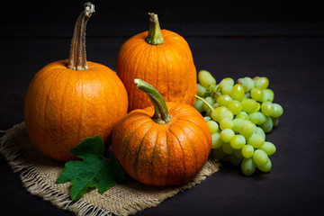 Punkins on a rustic background, Thanksgiving abstract