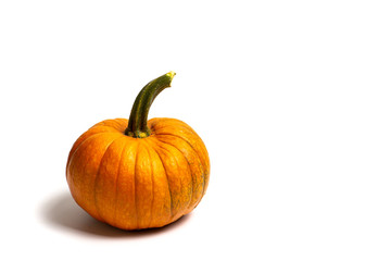 Small pumpkins on white background isolated