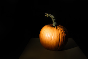 big pumpkin on a black background illuminated by an artificial light source