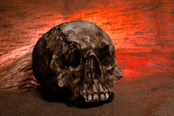 Human Skull with red light on brown textile background , Halloween decorations concept