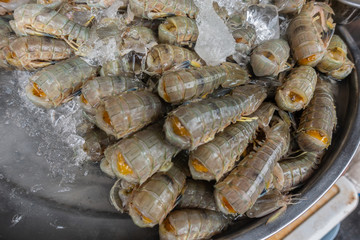 Chon Buri, Thailand - March 16, 2019: Nong Mon market. Closeup of pile of headless gray beige fresh large prawns on iced plate.
