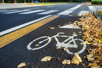 Bicycle lane in autumn