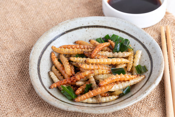 Food Insects: Bamboo worm or Bamboo Caterpillar insect fried crispy for eating as food items in plate with chopsticks and tea on sackcloth, it is good source of protein edible for future food.