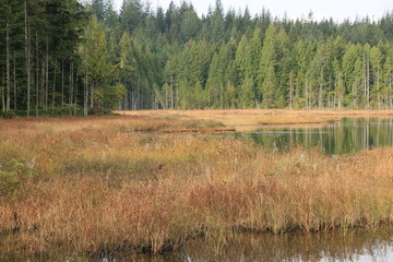 Wet Lands