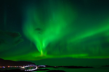 beautiful aurora boreal in Lofoten Islands