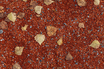 Three yellow fallen leaves on the ground of small orange stones in the fall during leaf fall. Backgrounds and wallpapers with seasonal images of nature and weather.