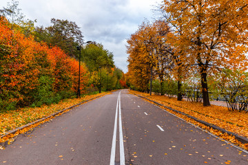 Cloudy day in autumn park.