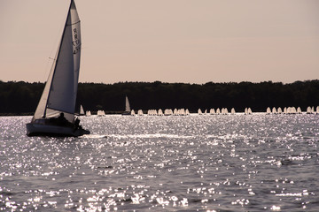 Ein Segelboot segelt auf dem Großen Müggelsee in Berlin