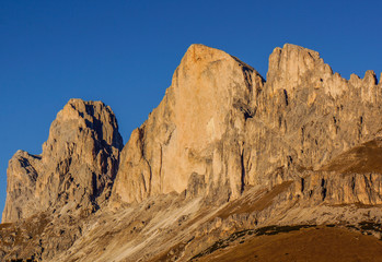 Fototapeta premium Rosengarten