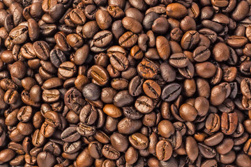 coffee beans on a wooden background