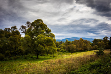 Fototapeta premium Nature landscape in early fall. First autumn colors in a forest. Drvar in Bosnia and Herzegovina.