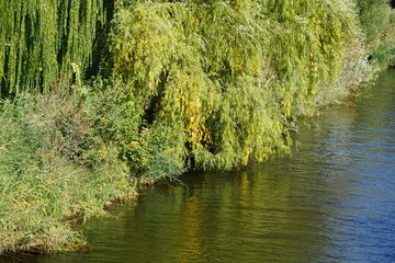 Havelufer in Potsdam