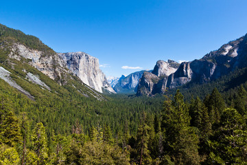 Yosemite,  San Francisco CA