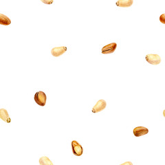 Pine nut hand drawn watercolor illustration. Seamless pattern.