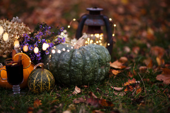 halloween and thanksgiving background with pumpkins,lantern,mulled wine outdoor