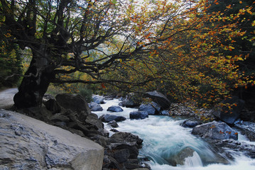 Ordesa en otoño