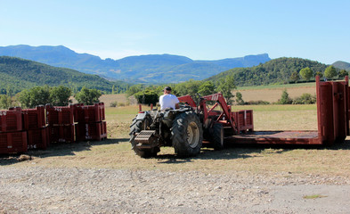 Obraz premium tracteur de vendanges