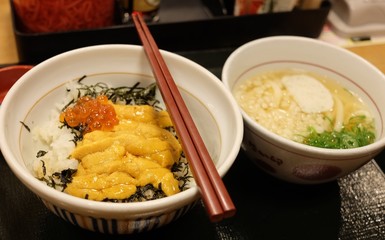  Fresh raw seafood mixed rice bowl (Kaiser-don/ Japanese tasty food)