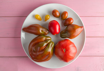 Tomatoes of different varieties and sizes on a white plate on a pink background.