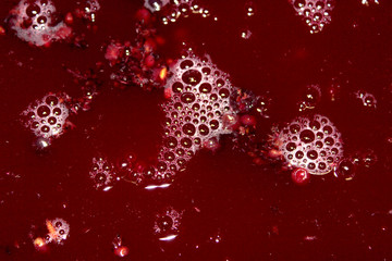 fermentation du jus de raisin