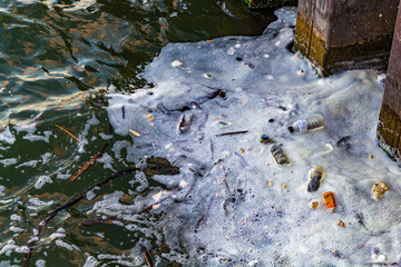 Floating Trash in a Harbor