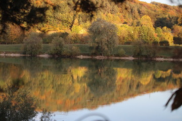 Fototapeta premium autumn landscape with lake and trees
