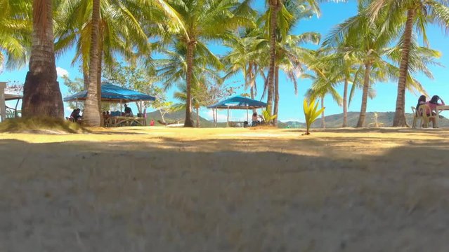Tropical island surrounded by palm trees and white sand in Coron Palawan, Philippines