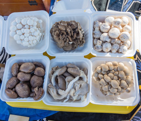 various mushrooms fresh at market