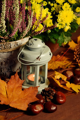 Wrzos chryzantema lampion świeczka na liściach jesień
