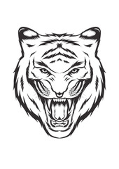 Line art vector tiger face. tiger head illustration