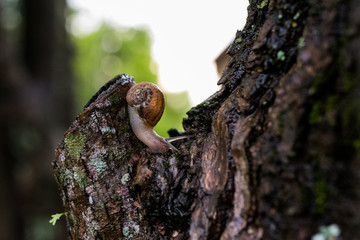 Un día de session con mi amigo el caracol 🐌 