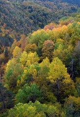 Obraz premium Ordesa en otoño. Pirieo Aragonés. España