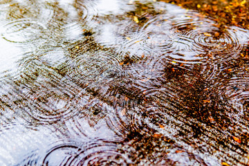 波紋の出来た水溜り