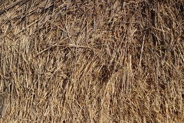 dry grass, dried earth, yellow grass