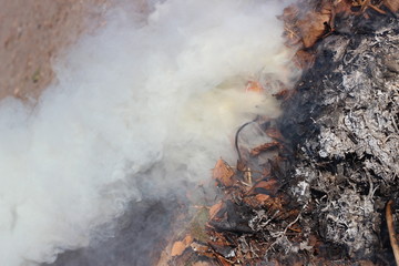 smoke in a burning fire