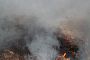 smoke in a burning fire