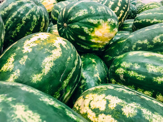 Fresh watermelons selling in a supermarket