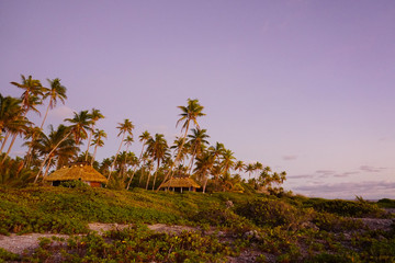 Sunrise at the bungalows of Pension Raimiti on the island of Fakarava in the South Pacific