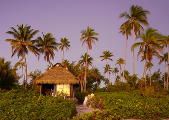 Sunrise reflects in the door of a private bungalow surrounded by palm trees on the island of Fakarava in French Polynesia