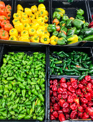 Assorted pepper in black boxes at market, green, red, yellow and orange colored