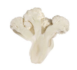 Cauliflower slice isolated on white background