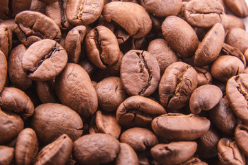 Coffee beans / closeup of brown coffee background