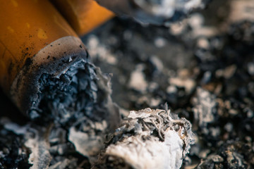 Burnt Cigarette Butt