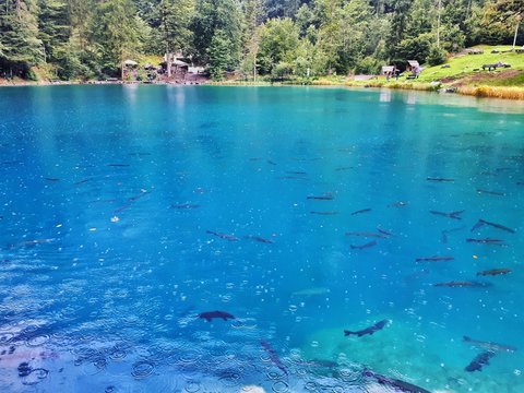 Blausee