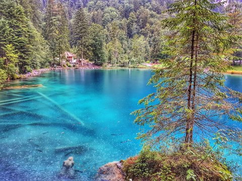 Blausee